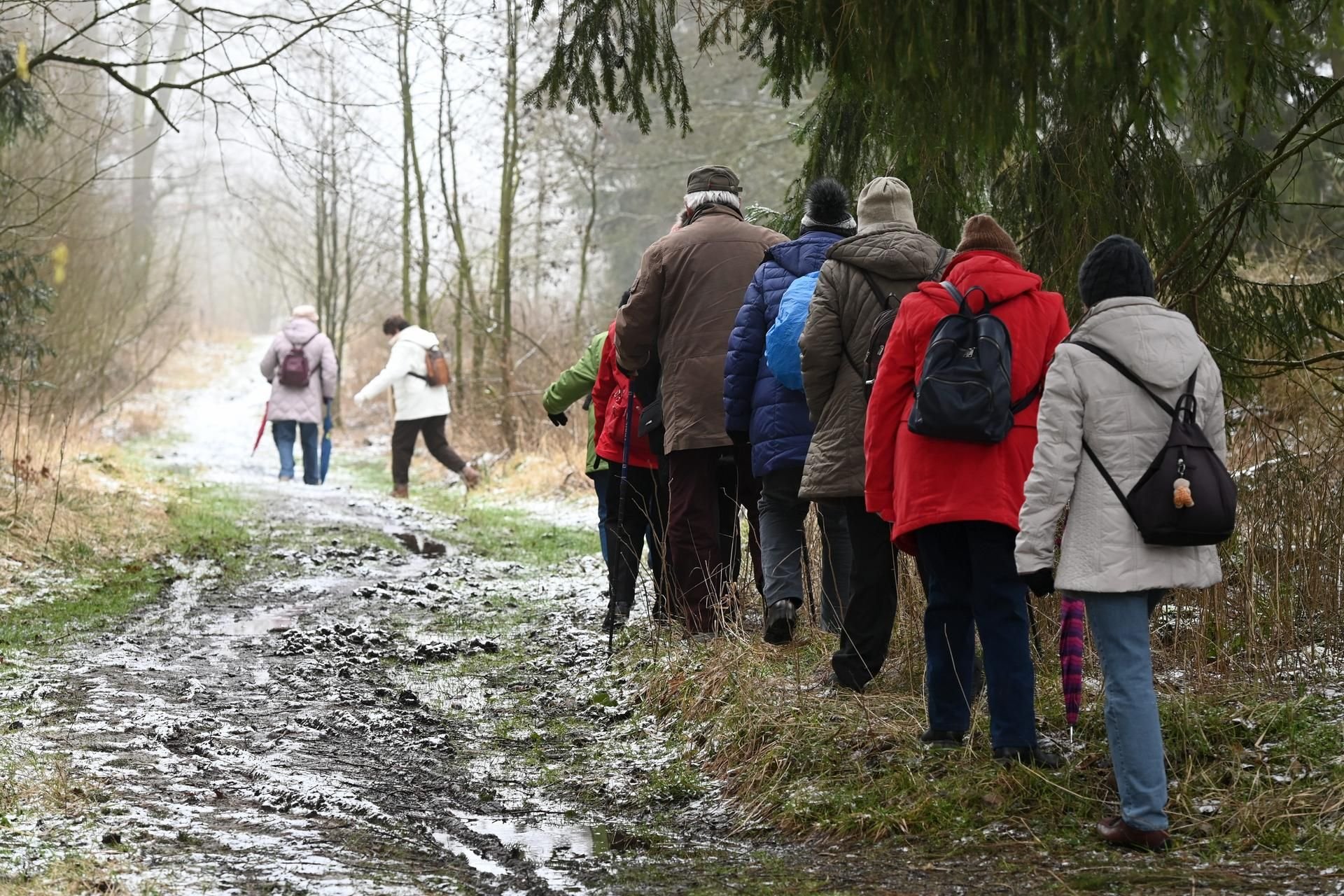 Nach dem Ausflug einer Wandergruppe an der Donau ist es zu einem Corona-Ausbruch gekommen (Symbolbild).