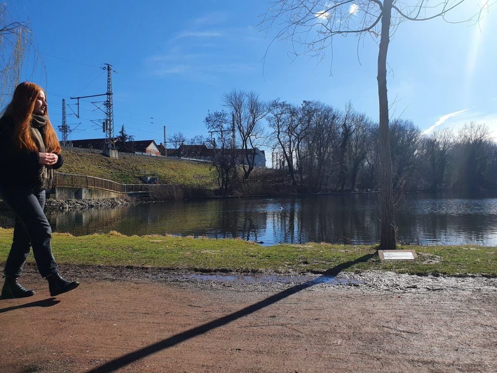 Nach einem Urteil ist der Bürgermeister in der Pflicht, auch Teiche zu sichern. Bedeutet das Zäune um Gewässer wie den Gotthardteich?
