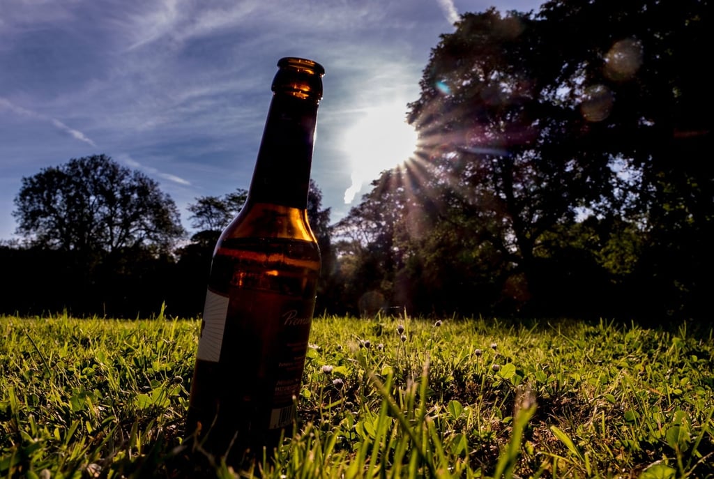 Eine leere Bierflasche steht auf einer Wiese.