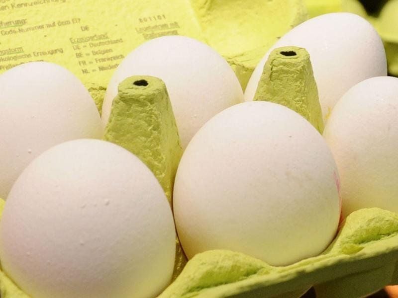 Da ein Eierkarton meist aus Pappe besteht, kann er nicht gut gereinigt werden.