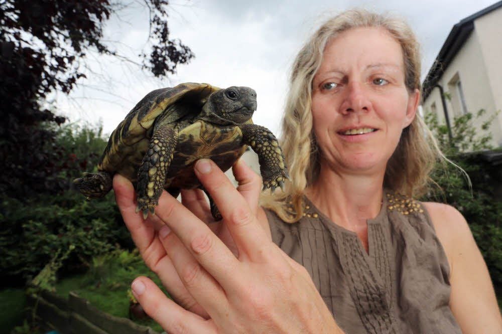 Claudia Bracke hat die acht- bis zehnjährige Schildkröte aufgenommen. Zu dem in Bobbau aufgetauchten Tier gesellt sich noch eins aus Brehna.