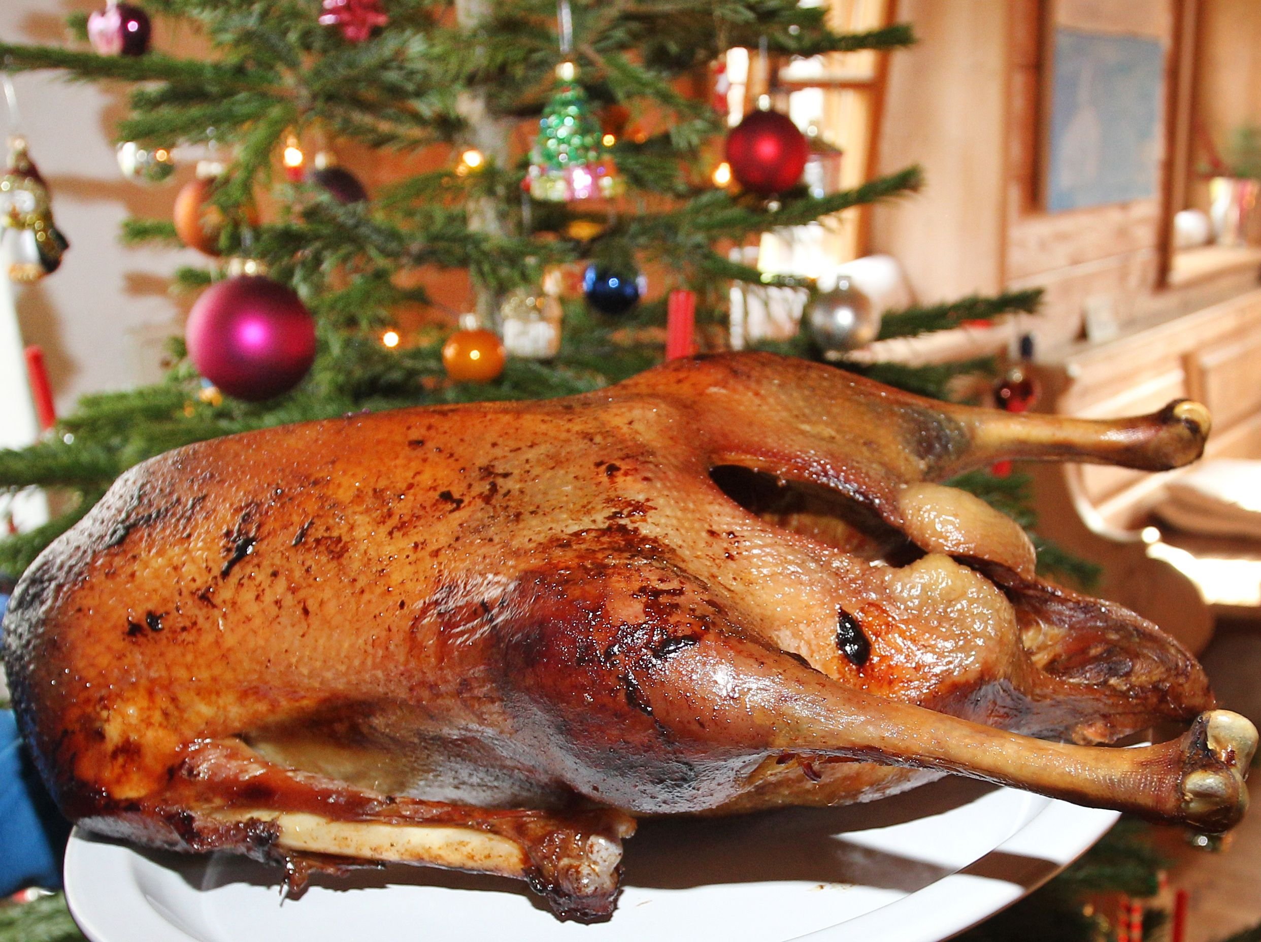 Ein leckerer Gänzebraten gehört für viele zu Weihnachten traditionell dazu.