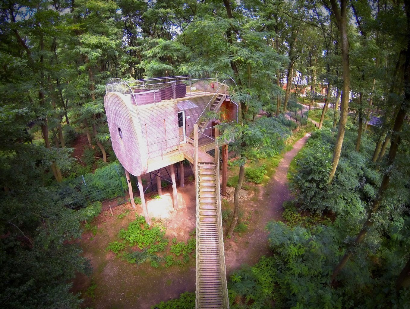 Schick und modern sind die Baumhäuser des «Tree Inn» - und sie liegen an der Grenze zu einem Wolfsgehege.