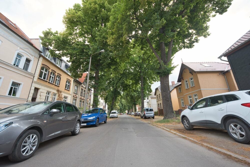 Der Kampf um den Erhalt der Alleebäume in der Quedlinburger Lindenstraße geht weiter.