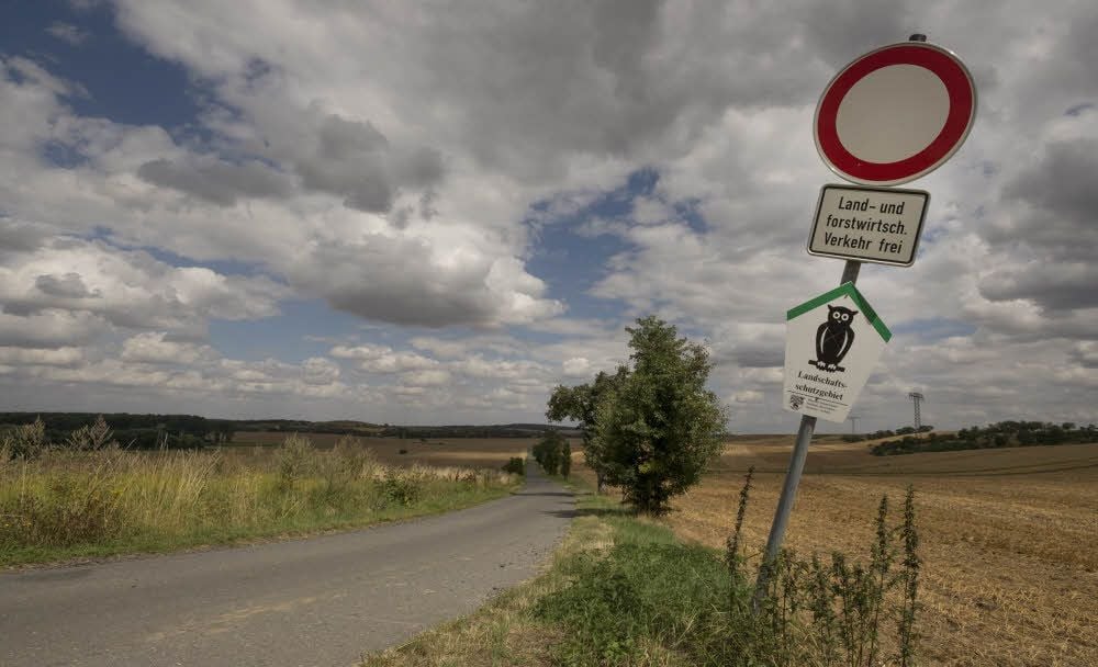 Am Feldweg von Timmenrode in Richtung Thale ist die Beschilderung klar: Über dem Eulen-Schild gibt es ein „Verbot für Fahrzeuge aller Art" - außer für Landwirtschafts- und Forstfahrzeuge.