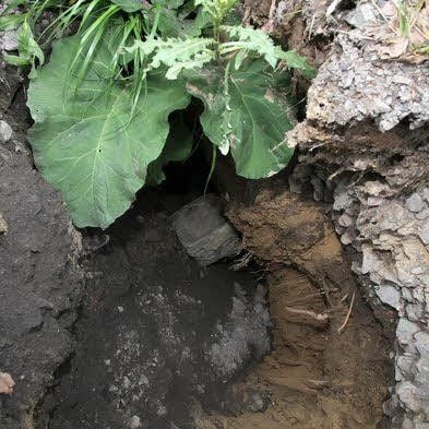 Erneut ist in Friedeburgerhütte Erde abgesackt.