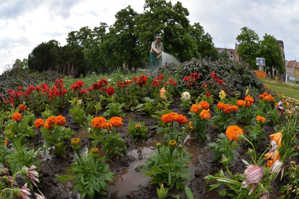 Die Aka ruft bei mehreren Pflanzaktionen in diesem Jahr auch die Bürger zum Mitmachen auf.