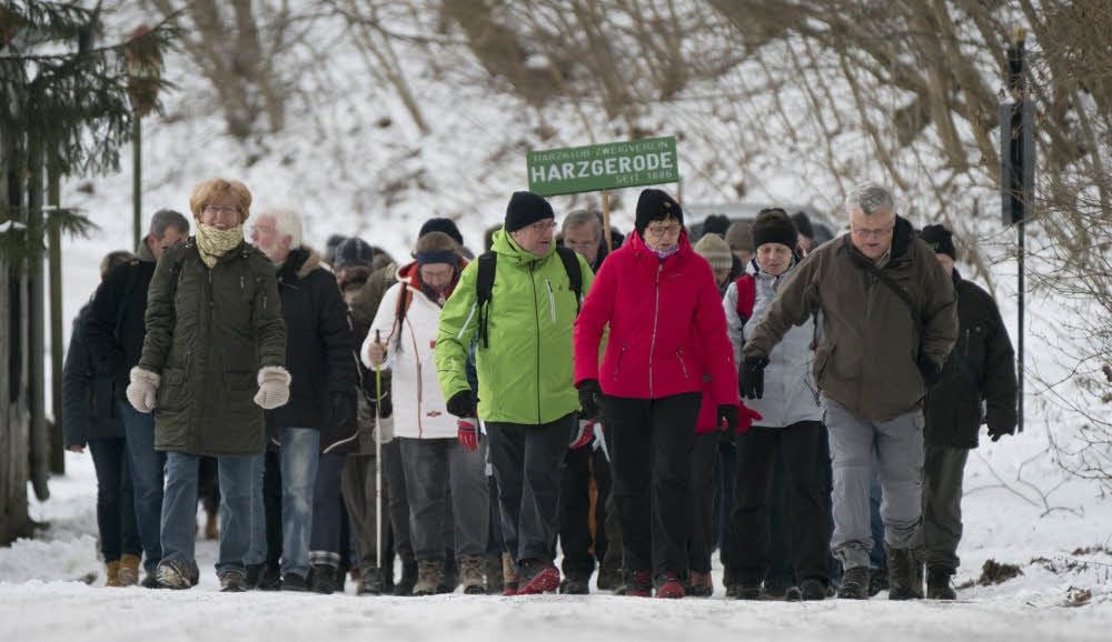 Wanderer machen sich bei Ballenstedt auf den Weg zum geplanten Grauwacke-Abbaugebiet im Selketal.