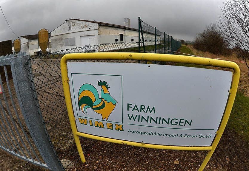 Für Hennen soll in Winningen neuer Platz geschaffen werden. Betreiber der Anlage ist die Wimex Agrarprodukte Import und Export GmbH aus Köthen.