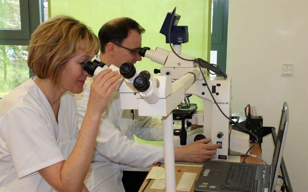 Onkologen betreuen am Basedow-Klinikum weit mehr als 1.000 Fälle im Jahr.
