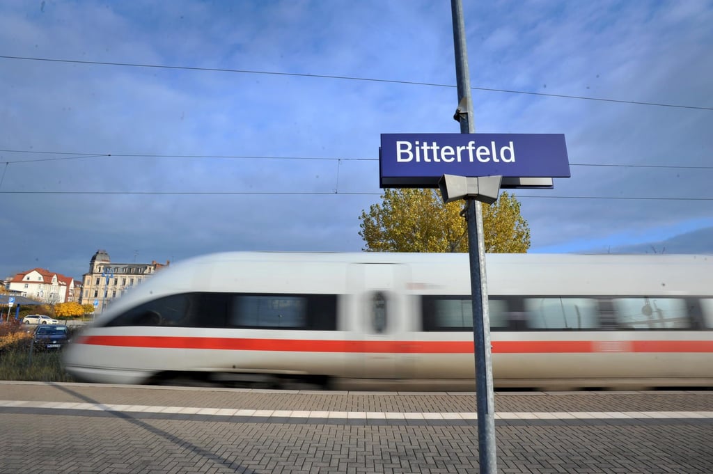 Am Bitterfelder Bahnhof ist es bei einer Polizeikontrolle zu einem Zwischenfall gekommen.