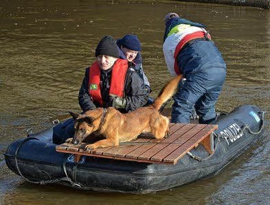 Mit speziell ausgebildeten Hunden erfolgte die Suche.