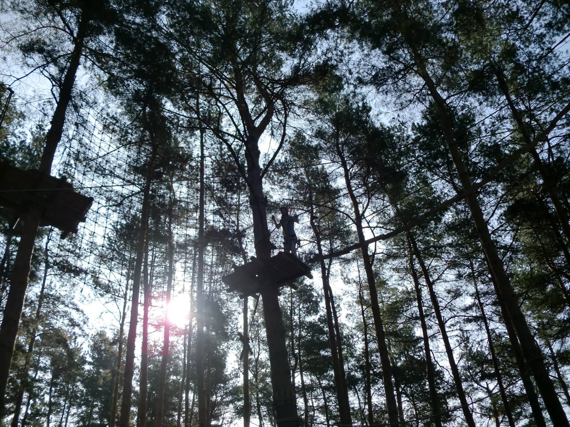 Halles Kletterwald war durch Sturm „Friederike“ zerstört worden - doch Mathias Nobel will wiedereröffnen.