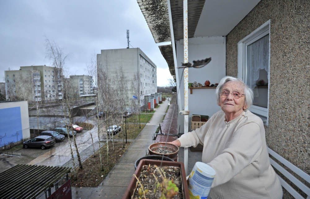 Ingeborg Hennig auf ihrem Balkon in Wolfen-Nord bei ihrer Lieblingsbeschäftigung: Vögel füttern.