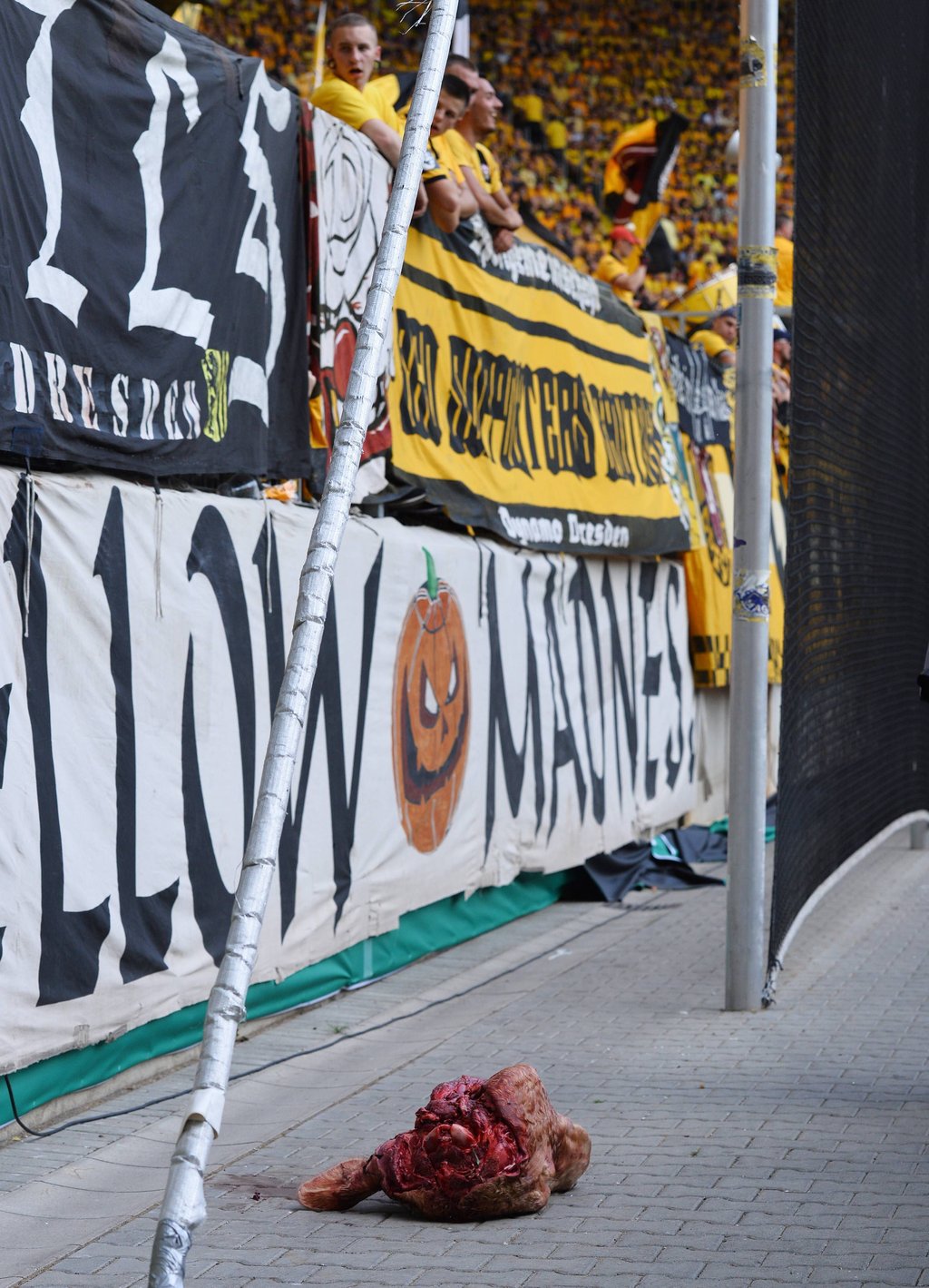 Während des Sachsenderbys zwischen Dynamo Dresden und RB Leipzig im DFB-Pokal ist ein abgetrennter Bullenkopf in den Innenraum des Stadions geworfen worden.