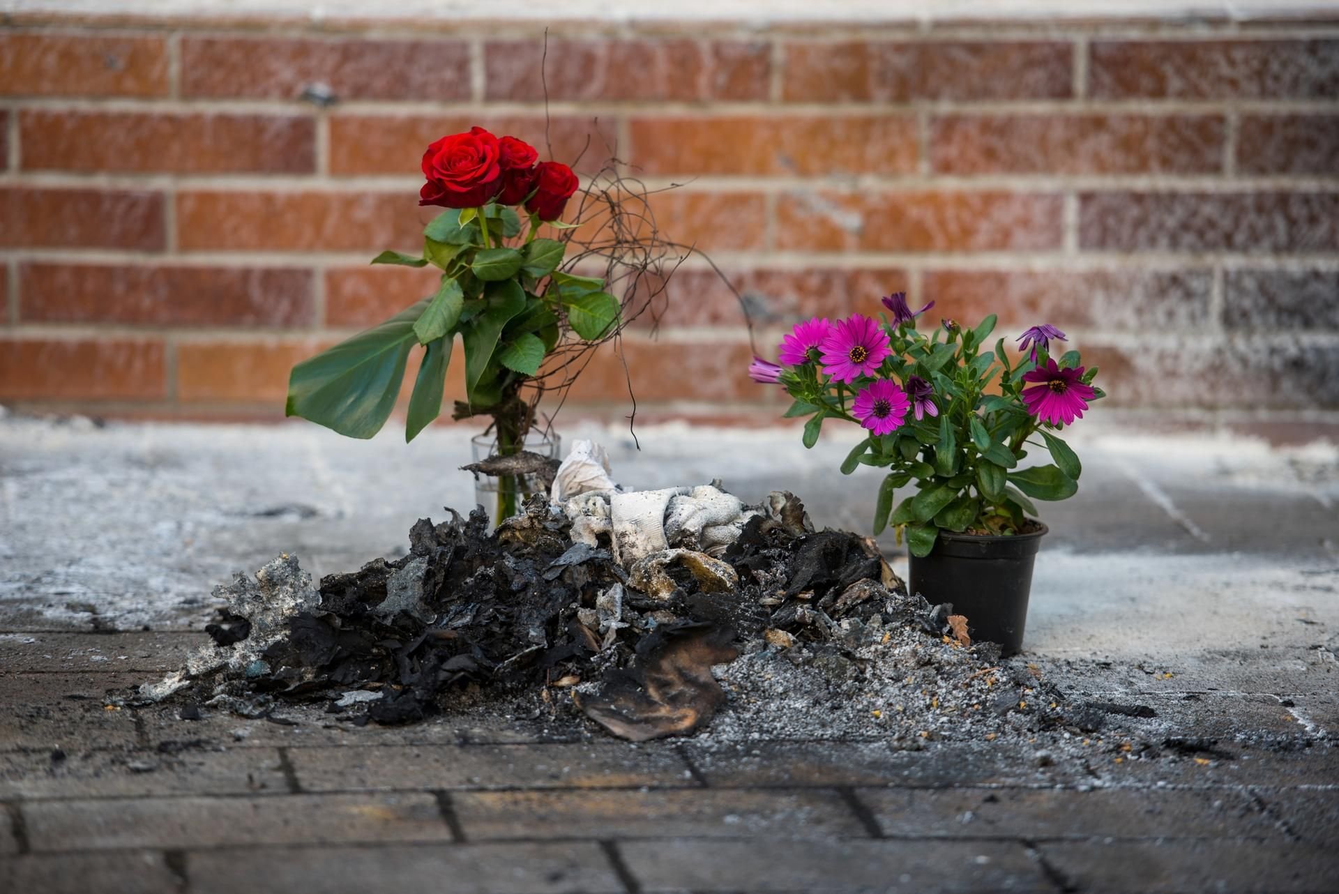 An der Stelle, an der der Obdachlose verbrannte, wurden Blumen aufgestellt.