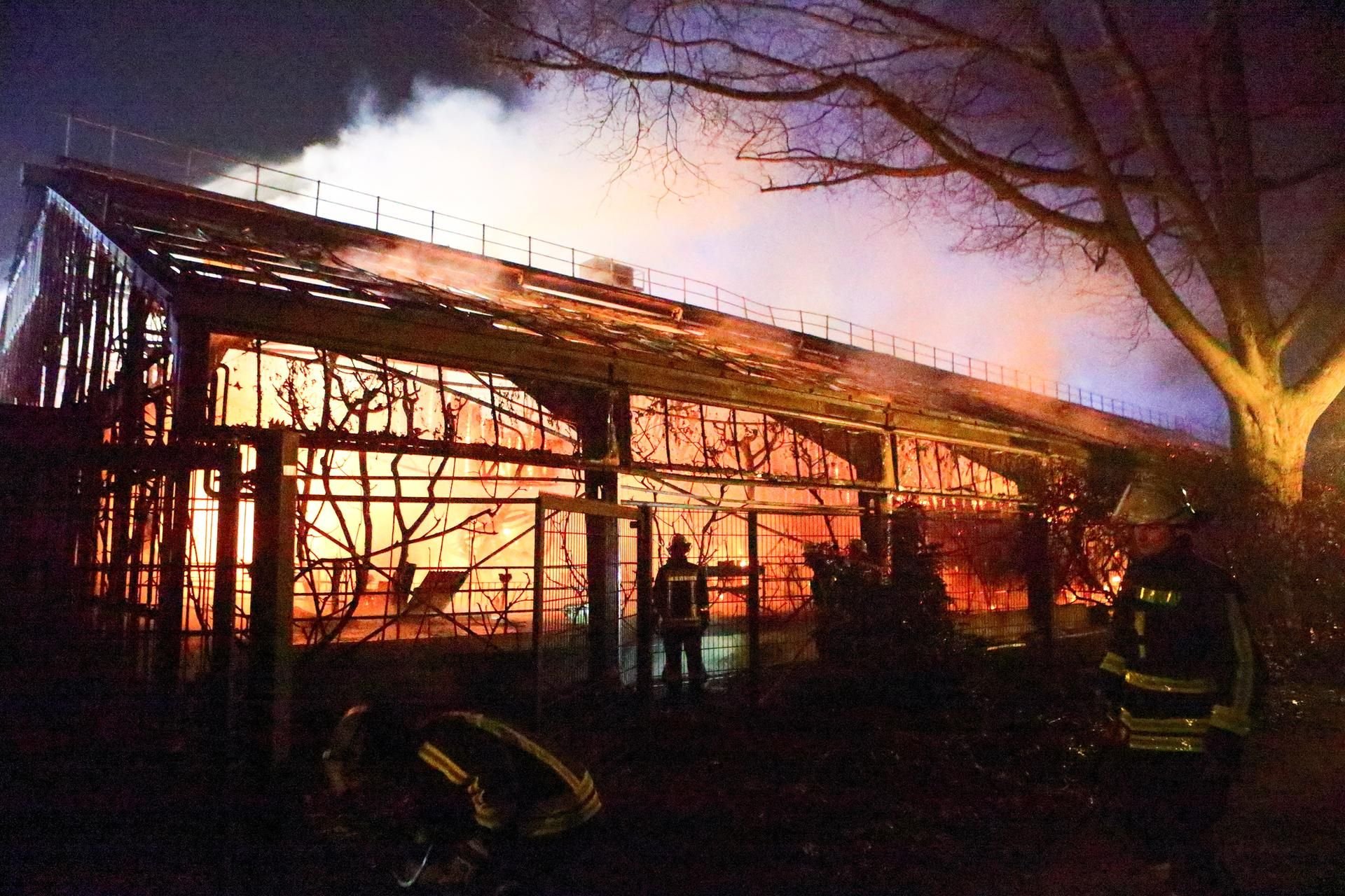 Feuerwehrleute stehen nach Löscharbeiten in der Nacht zu Neujahr vor dem Affenhaus im Krefelder Zoo. Drei Frauen werden beschuldigt, den Brand verursacht zu haben.