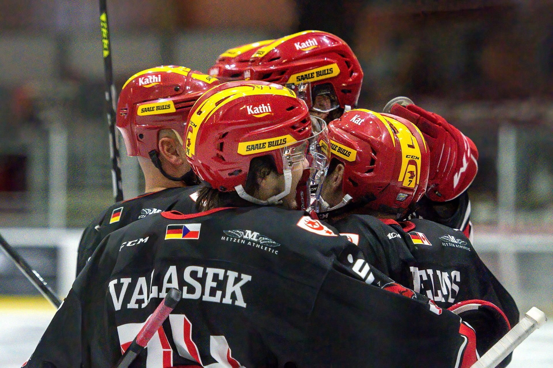 Die Spieler der Saale Bulls jubeln über einen Treffer.