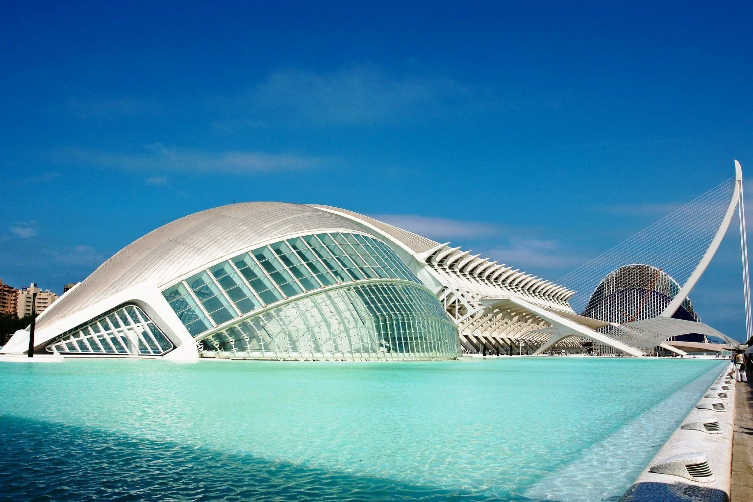 Das El Palau ist das letzte Gebäude des Komplexes Ciudad de las Artes y las Ciencias (auf deutsch: Stadt der Künste und der Wissenschaften), das fertiggestellt wurde.