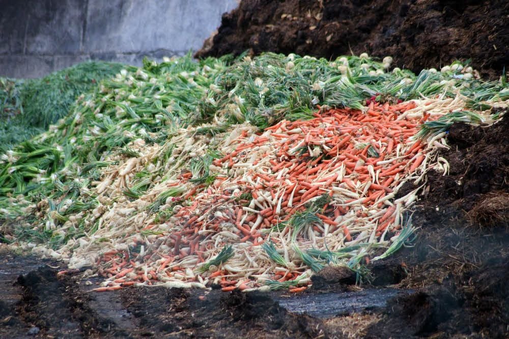 Lauchzwiebeln, Möhren, ... Laut Wimex findet sich für dieses Gemüse kein Abnehmer.