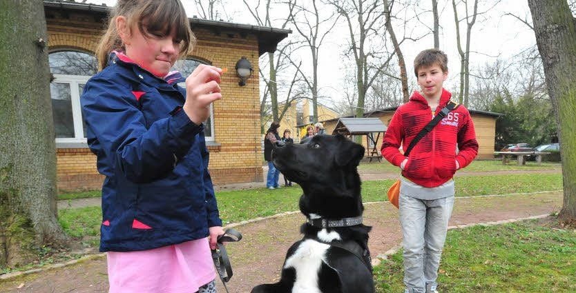 Cheyenne gibt Socke ein Leckerli, Dennis schaut zu.