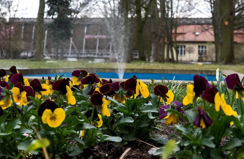 Ein Blick in den Bad Dürrenberger Kurpark, der zum Landesgartenschau-Gelände gehört.
