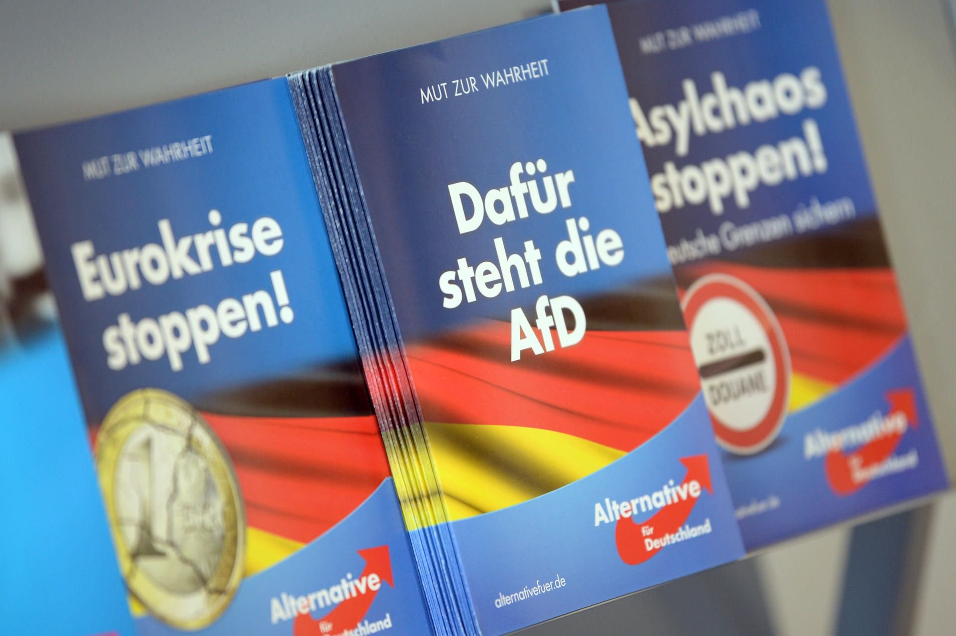 Werbematerial für die AfD