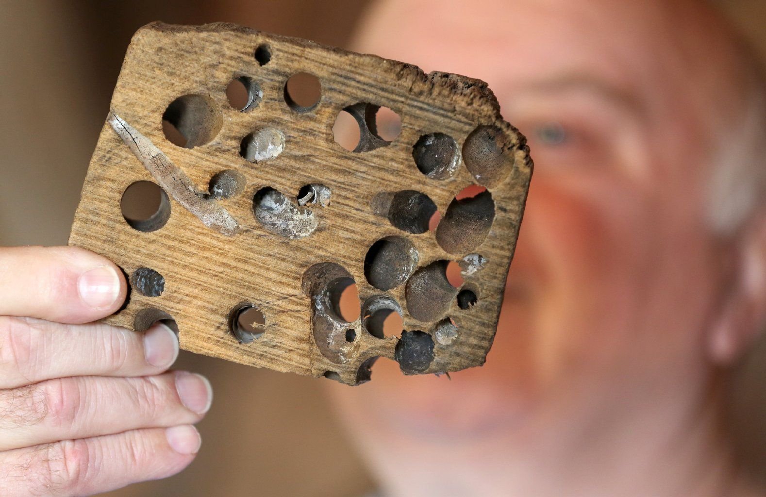 Christof Silz zeigt ein von einer Schiffsbohrmuschel zerfressenes Stück Holz.
