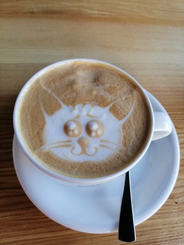 Gäste bekommen regelrechte Kunstwerke in ihre Tasse gezaubert.