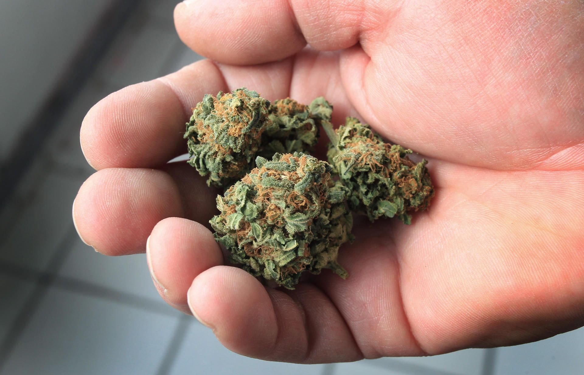In Januar hatte der Bundestag beschlossen, dass Schwerkranken Cannabis verschrieben werden kann. (Symbolbild)