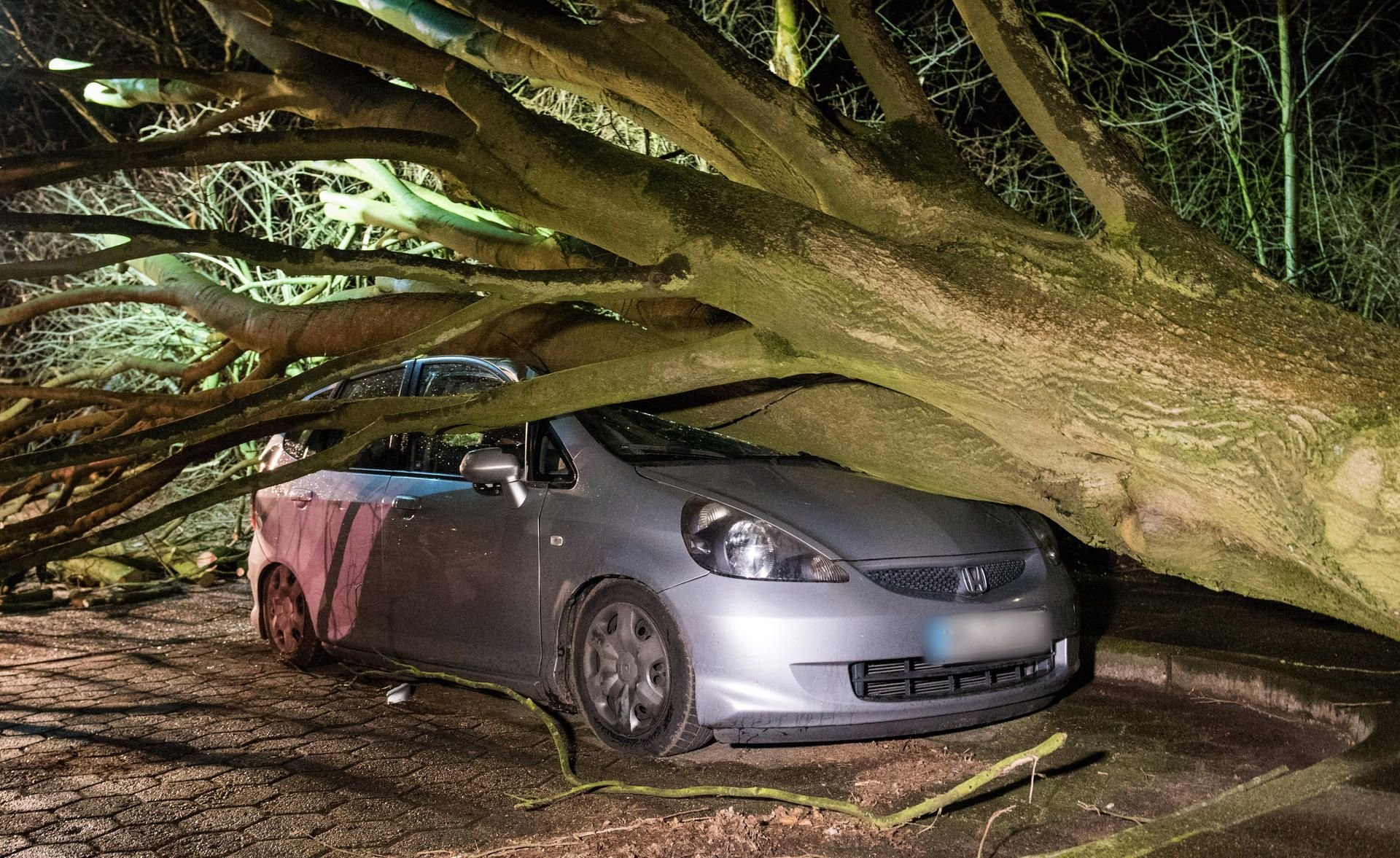 Ein umgestürzter Baum liegt auf einem Parkplatz in Hamburg auf einem Auto.