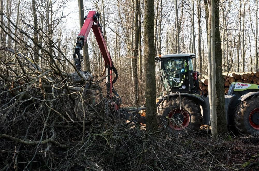 Abgebrochene Kronen und Äste mussten verarbeitet werden.