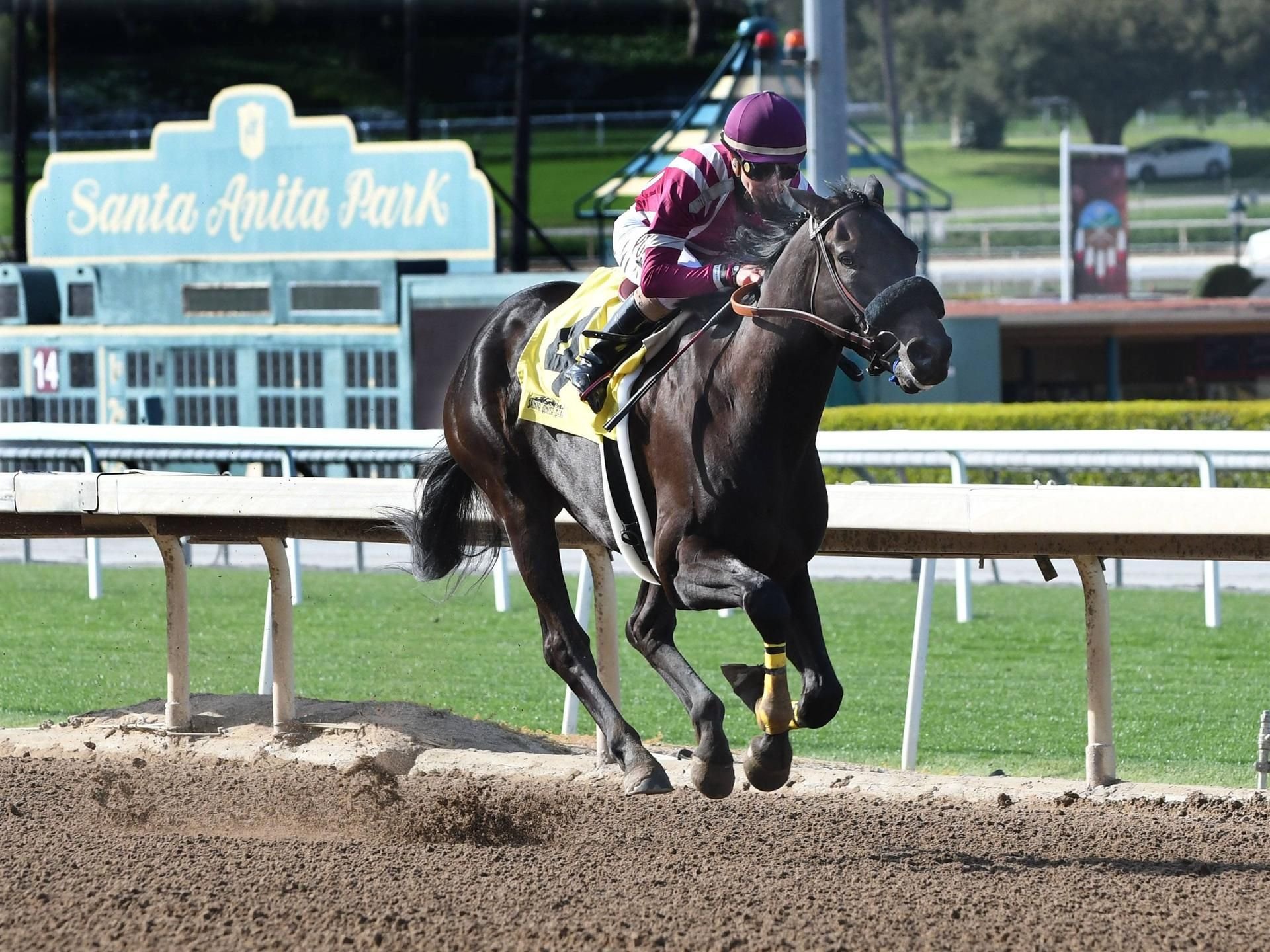 Santa Anita ist eine der berühmtesten Galopp-Strecken der USA.