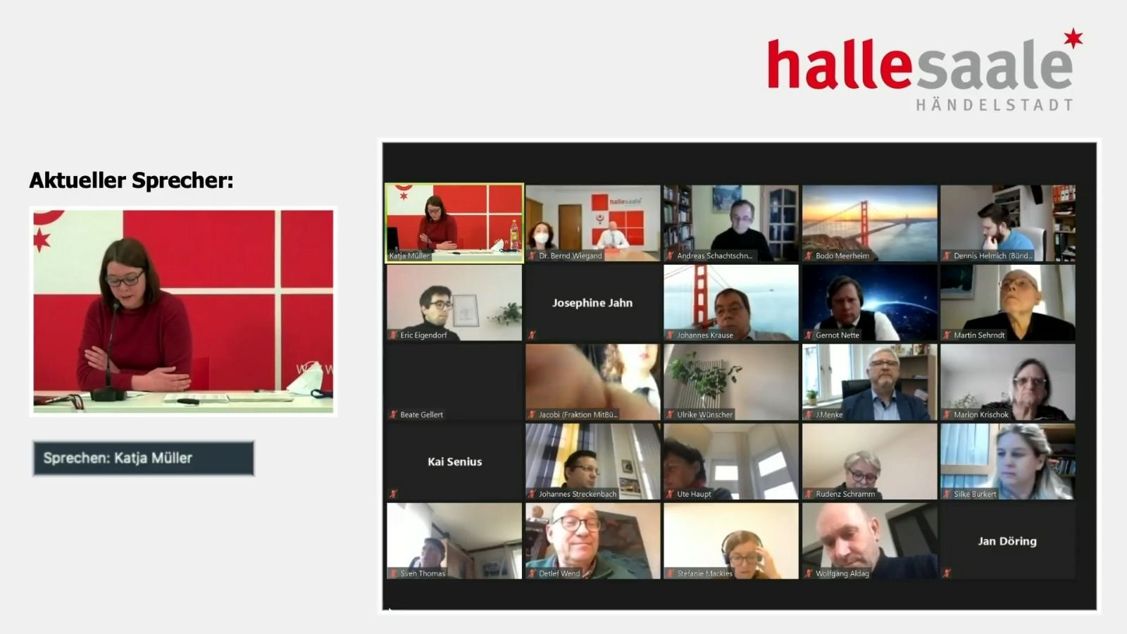 Screenshot der virtuellen Sitzung Stadtrat