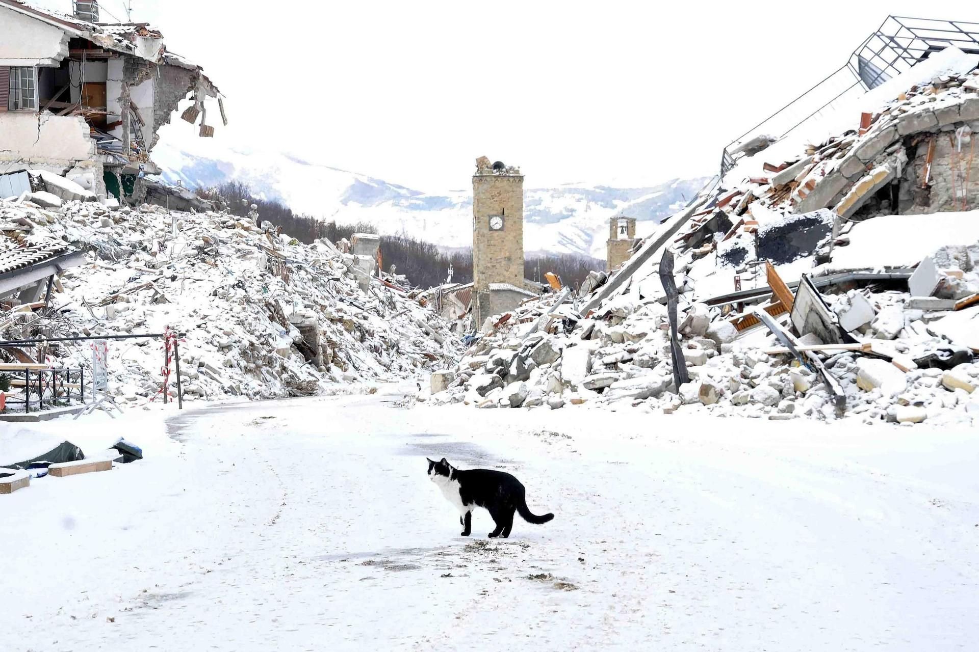 In Amatrice sind noch immer viele Gebäude zerstört.
