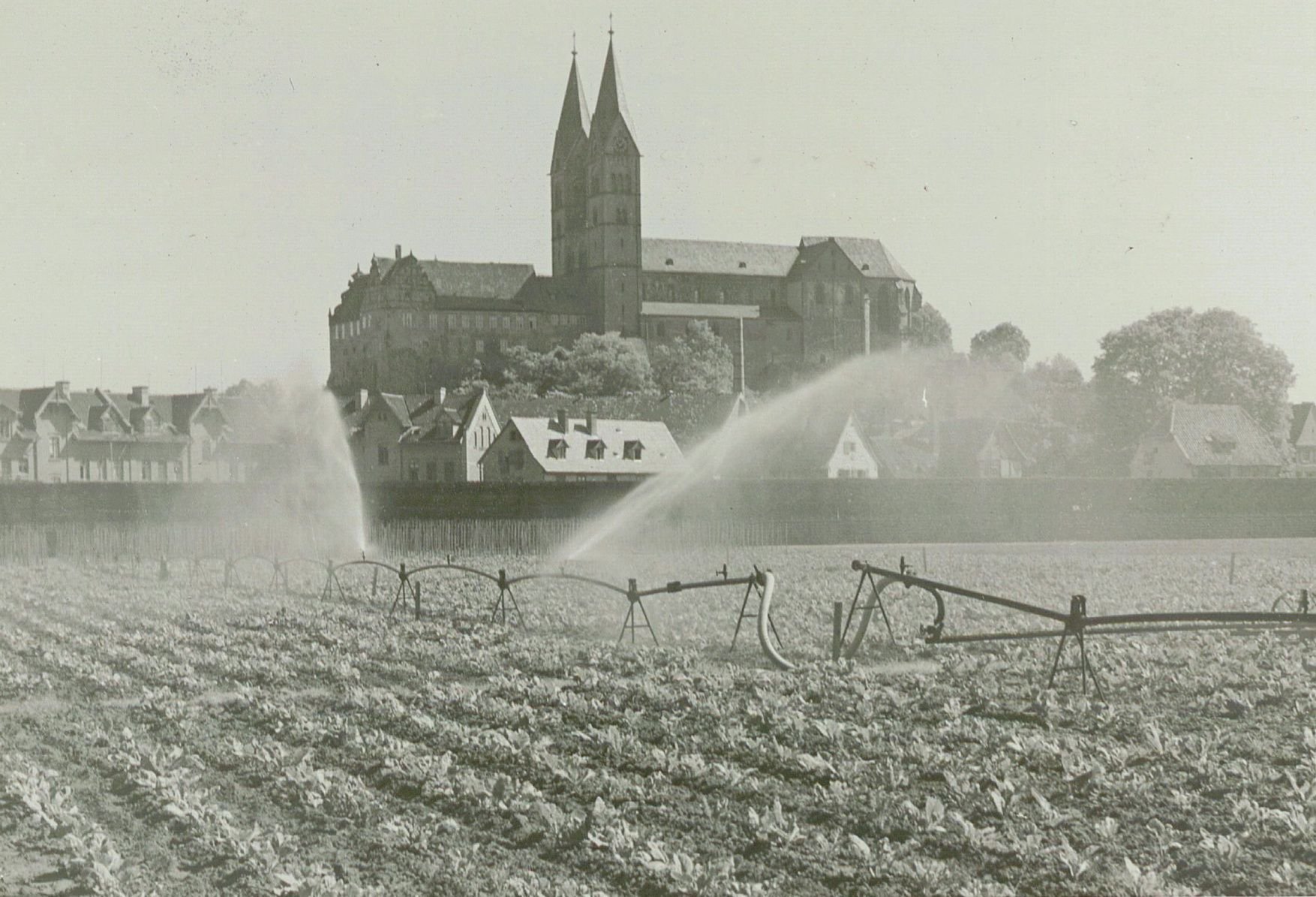 Im Abteigarten in Quedlinburg werden in den 1930er Jahren Pflanzen zur Produktion von Saatgut beregnet.