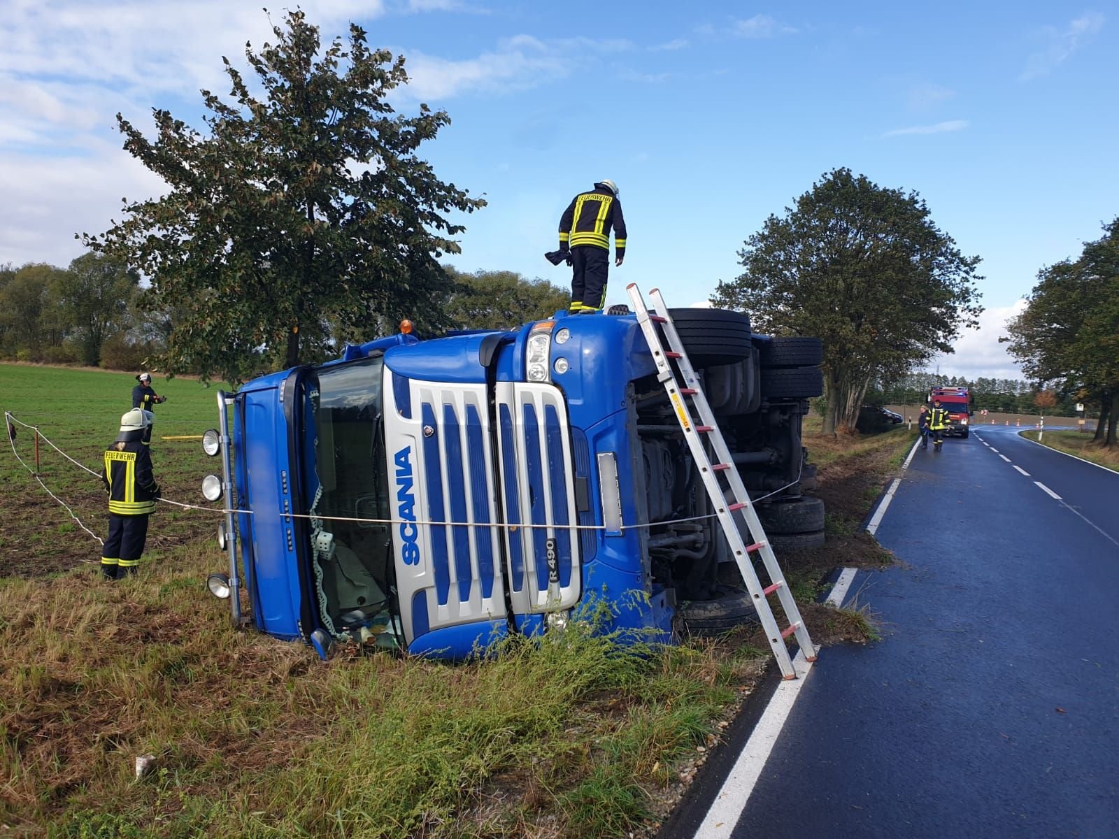 Dieser mit Rindern beladene Lkw kam auf der L1 bei Arendsee von der Straße ab und stürzte um. Etliche Tiere konnten zunächst fliehen .