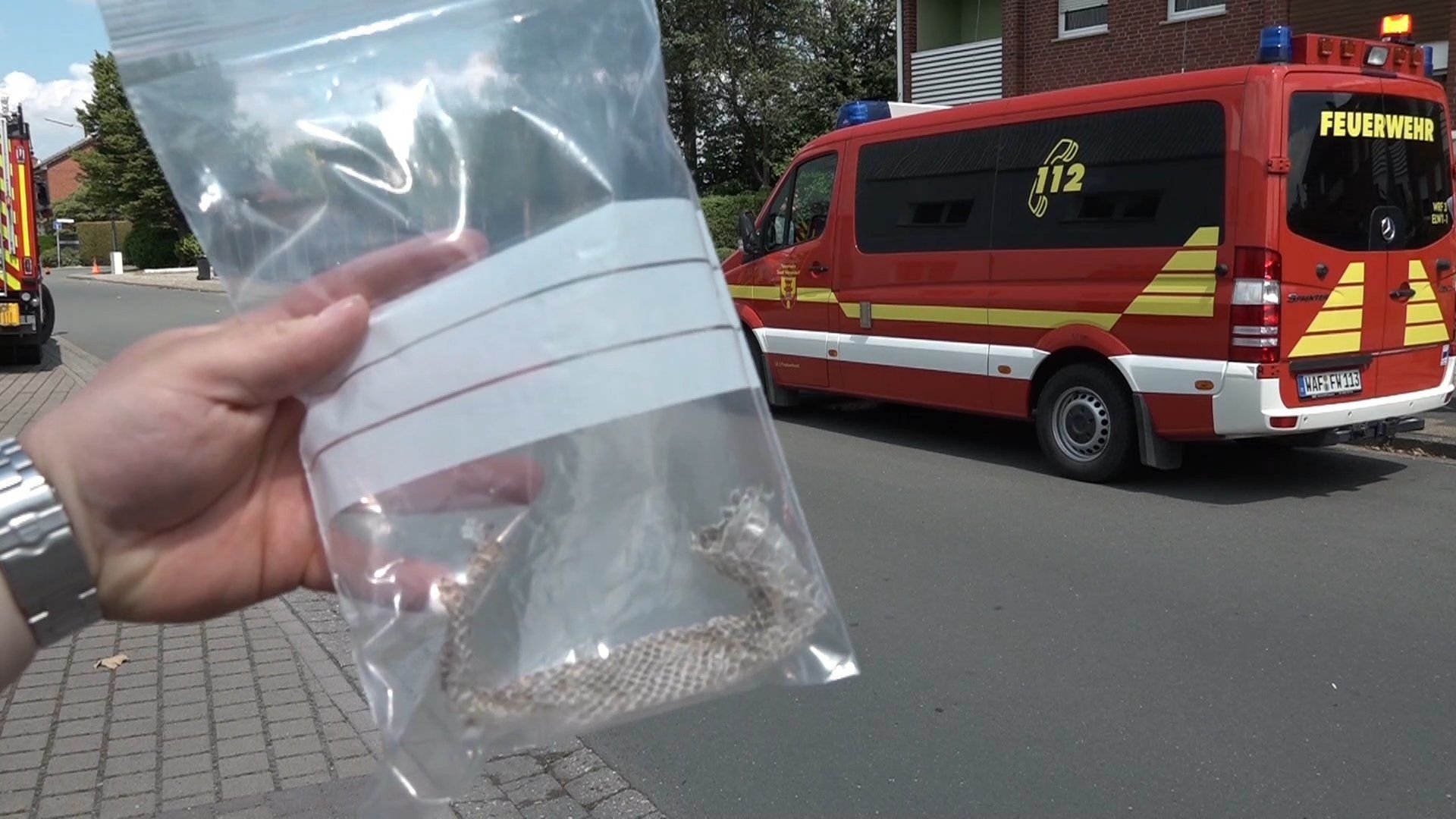 Eine Person hält Schlangenhaut in einer Plastiktüte in der Hand.