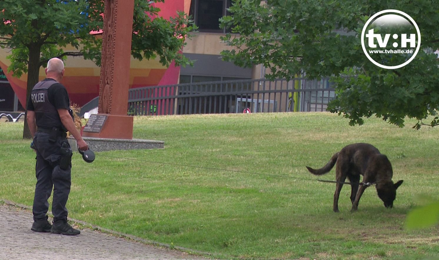 Suchhund der Polizei am Hansering