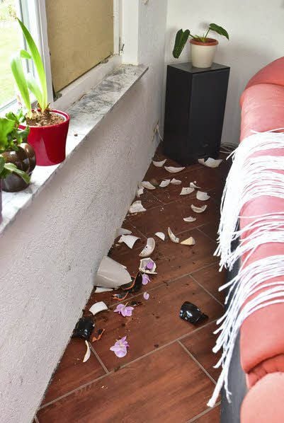 Durch das Fenster stiegen die Einbrecher ein. Viele Vasen gingen zu Bruch.