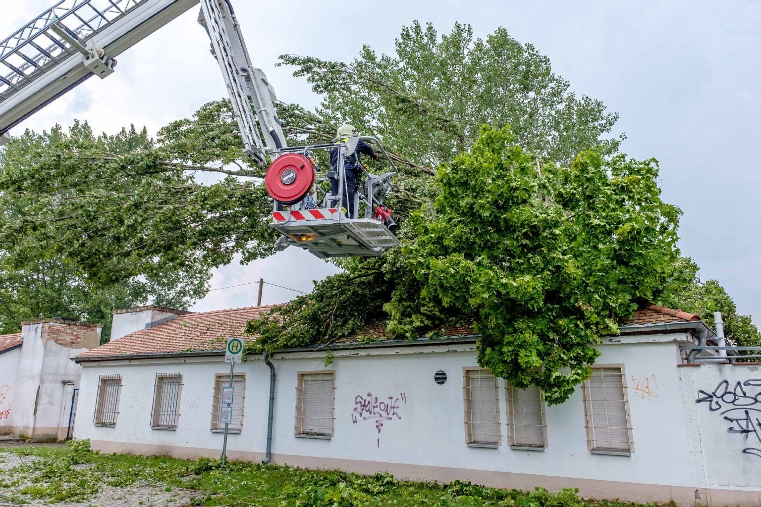 Feuerwehrleute beseitigen nach dem Hagelsturm am Samstag Schäden in Gräfenhainichen.