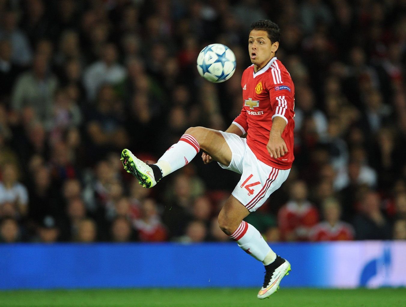Wechselt Javier Hernandez noch zu Bayer Leverkusen?