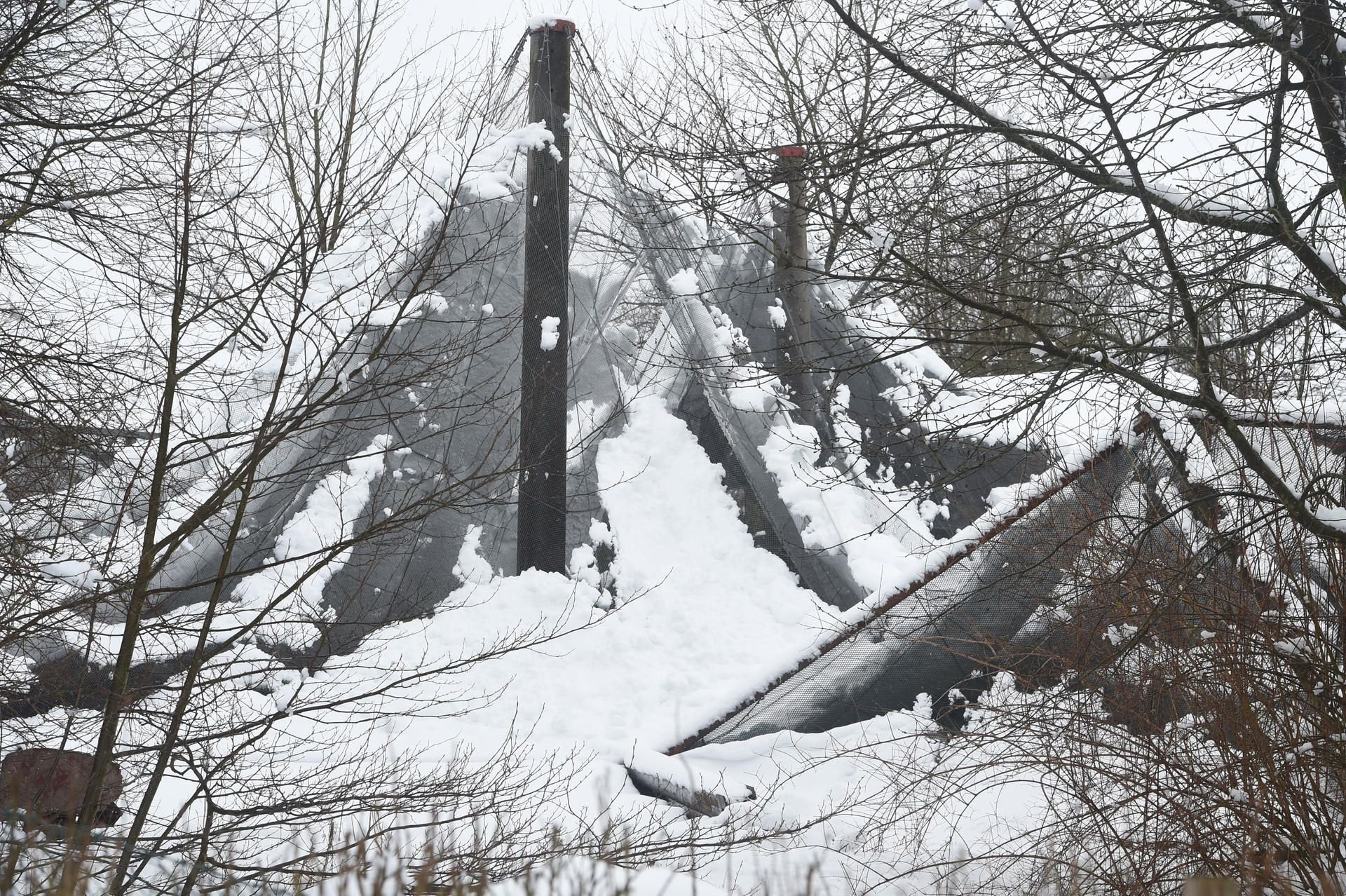 Enorme Schneemassen haben einen Großteil der Volieren in dem Vogelpark einstürzen lassen. Er ist für Besucher gesperrt.