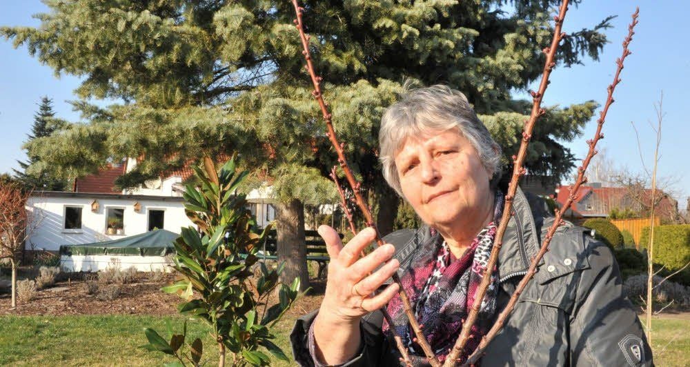 Umweltamt in Halle Umweltamt in Halle Geg ngelt im eigenen Garten