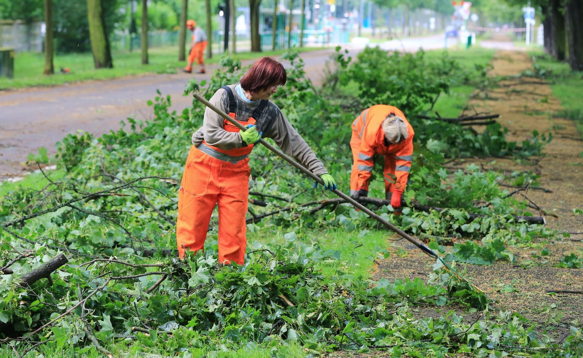 Ines Wende, Mitarbeiterin vom Grünflächenamt, harkt mit ihren Kollegen, nach dem schweren Unwetter, im Herrenkrugpark in Magdeburg die heruntergefallenen Äste zusammen.