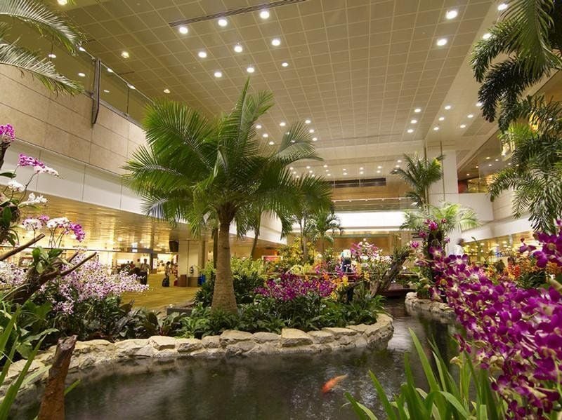 Es grünt so grün am Changi Airport in Singapur.