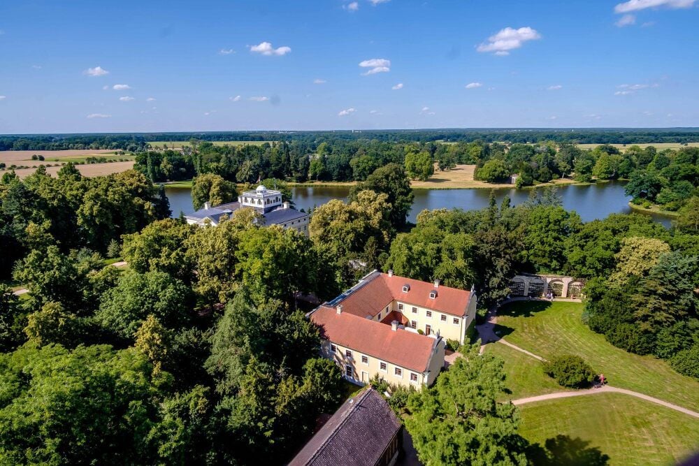 Zum Gartenreich gehört auch ein großer Baumbestand.