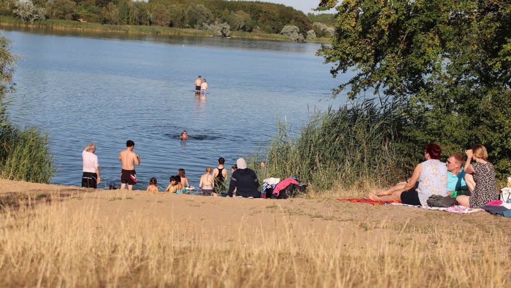 Der Hufeisensee ist ein beliebtes Badegewässer. Wie hier an der Liegewiese suchen die Hallenser Abkühlung vor der Sommerhitze.