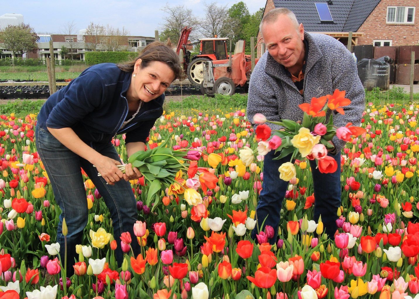 Annemieke und Pieter Damen betreiben im niederländischen Hillegom ein Pluktuin - einen Blumengarten zum Selberpflücken.