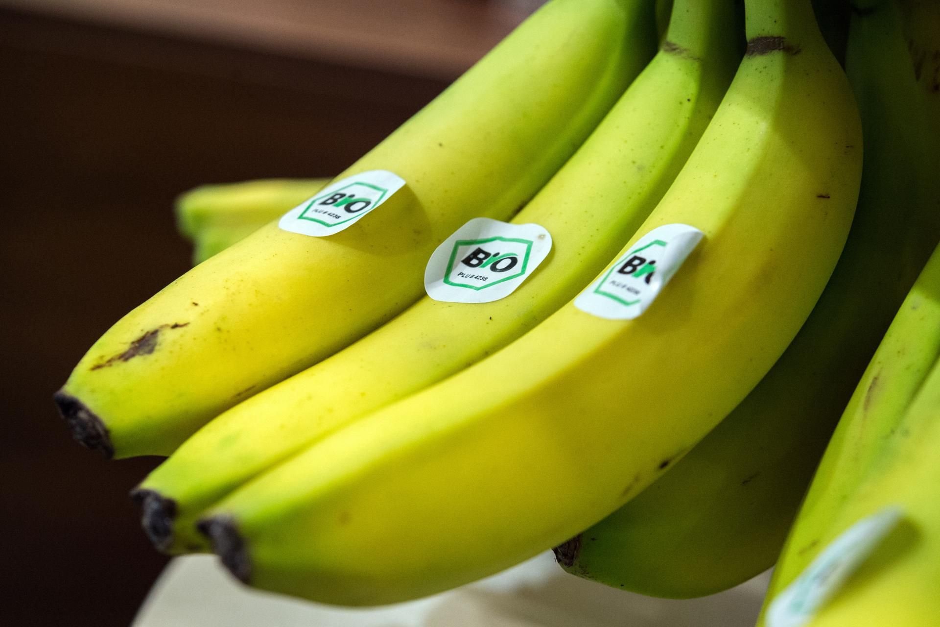 Bio-Produkte sind weniger pestizid-belastet als Lebensmittel aus konventionellem Anbau. Außerdem können Sie mehr Nährstoffe enthalten.